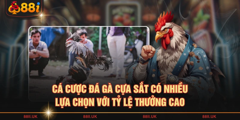 Cá cược đá gà cựa sắt có nhiều lựa chọn với tỷ lệ thưởng cao