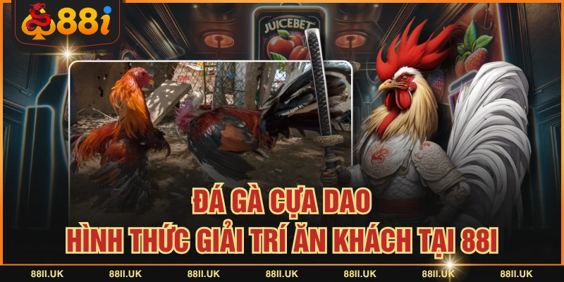 Đá Gà Cựa Dao | Hình Thức Giải Trí Ăn Khách Tại 88I