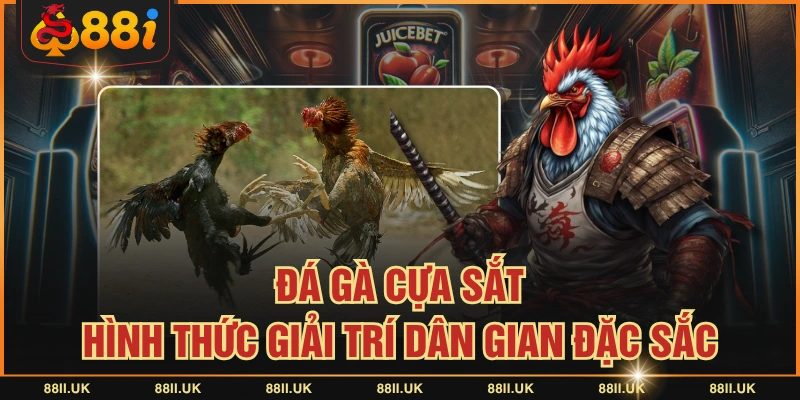 Đá Gà Cựa Sắt | Hình Thức Giải Trí Dân Gian Đặc Sắc