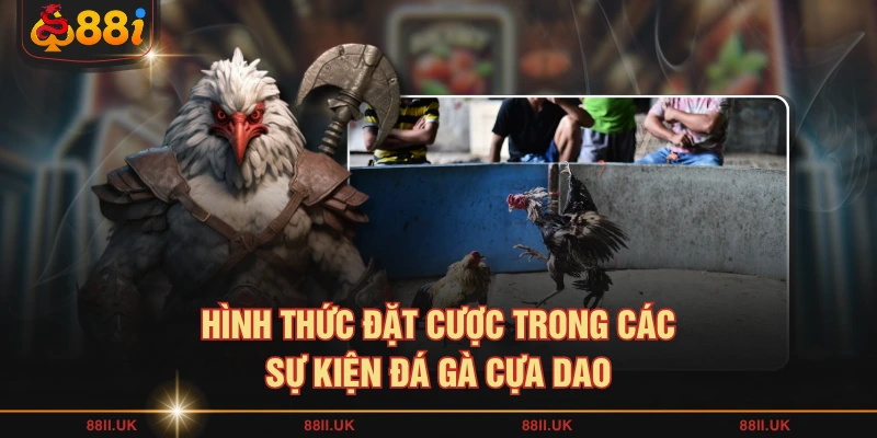 Hình thức đặt cược trong các sự kiện đá gà cựa dao
