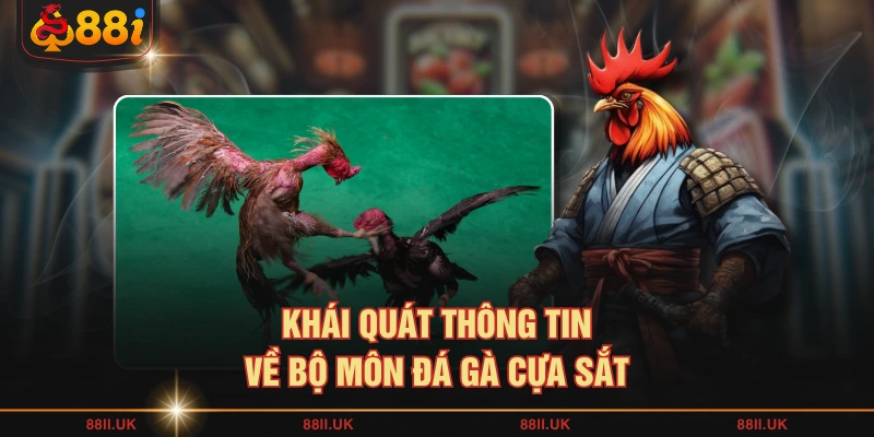 Khái quát thông tin về bộ môn đá gà cựa sắt