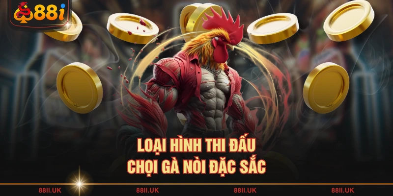 Loại hình thi đấu chọi gà nòi đặc sắc