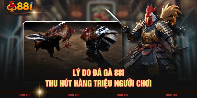 Lý do đá gà 88I thu hút hàng triệu người chơi