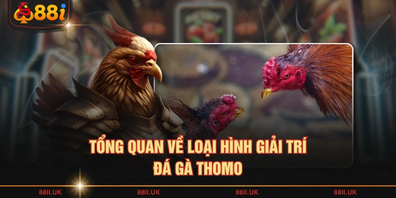 Tổng quan về loại hình giải trí đá gà Thomo